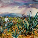 agave-field-mexico-24x30